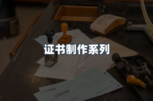 仿制证件24小时